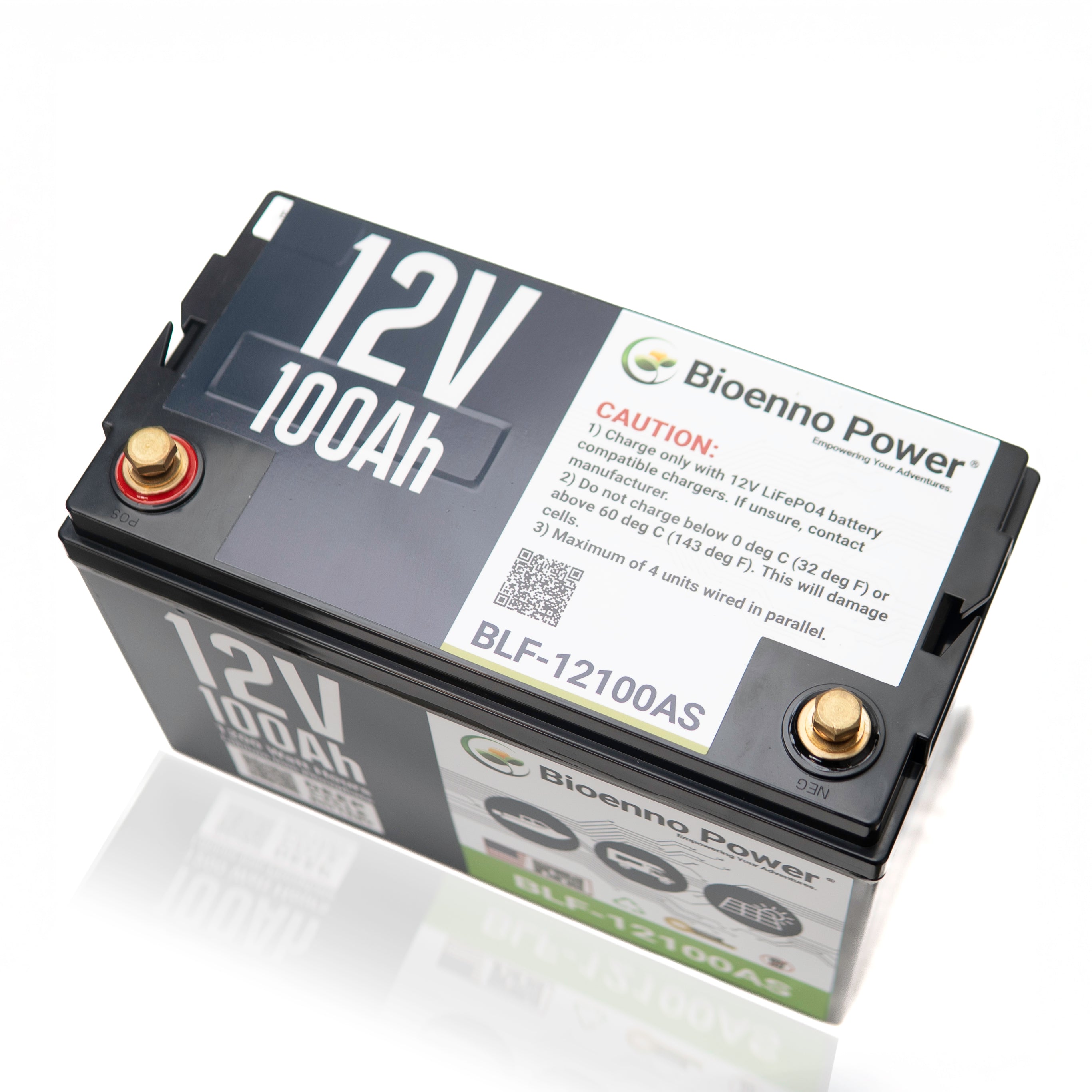 12V, 100Ah LFP Battery (ABS, BLF-12100AS)