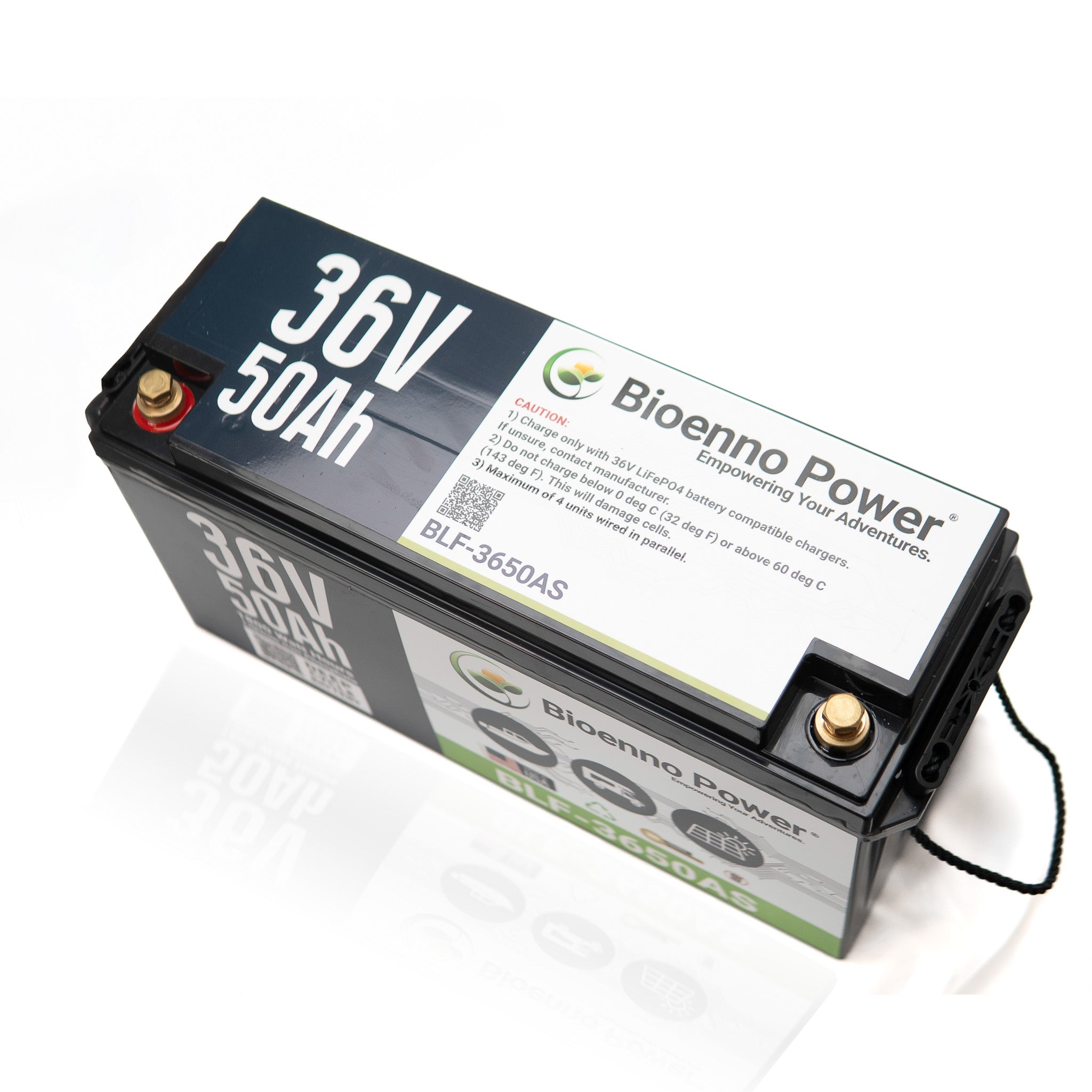 36V, 50Ah LFP Battery (ABS, BLF-3650AS)